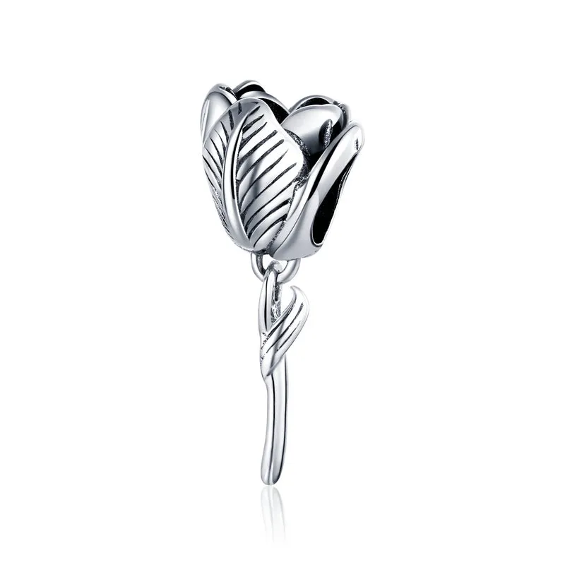 Stunning Silver Charms Jewelry For Women
